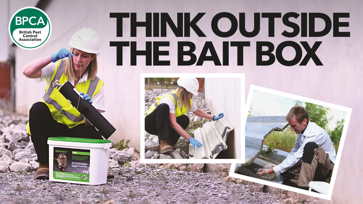 bait box hero bait box hero